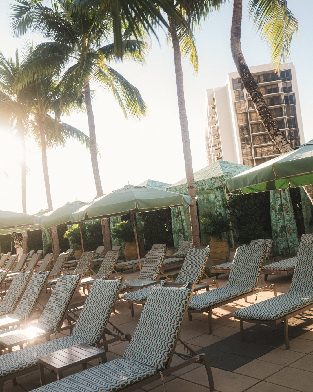 Rows of loungers in the custom PatBO print under palms at first light